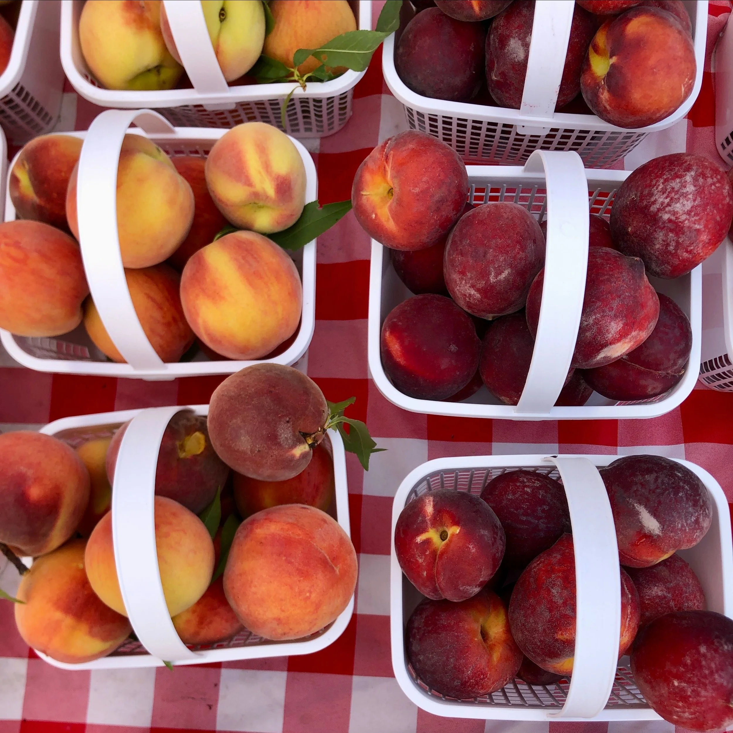 Saturday, June 21 // Summer Goodness for Making Memories