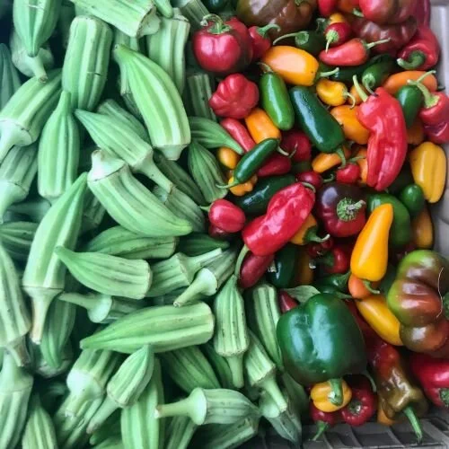 Saturday, August 30 // Long Weekend Local Haul