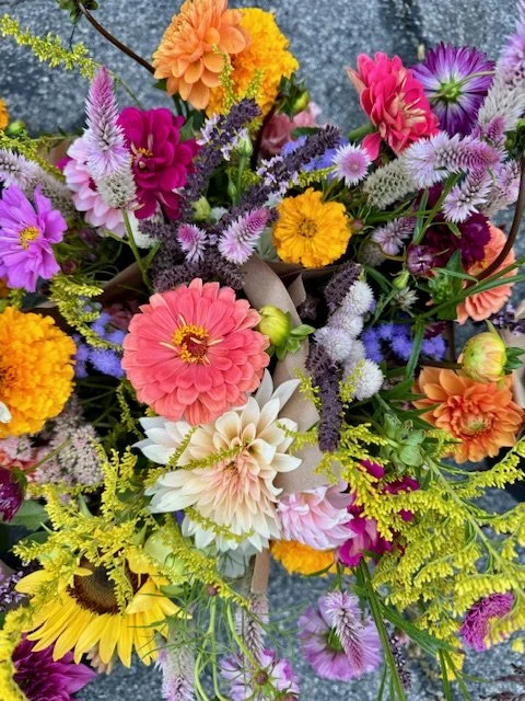 Saturday, September 6 // Seasonal Crossovers and Last Snags 