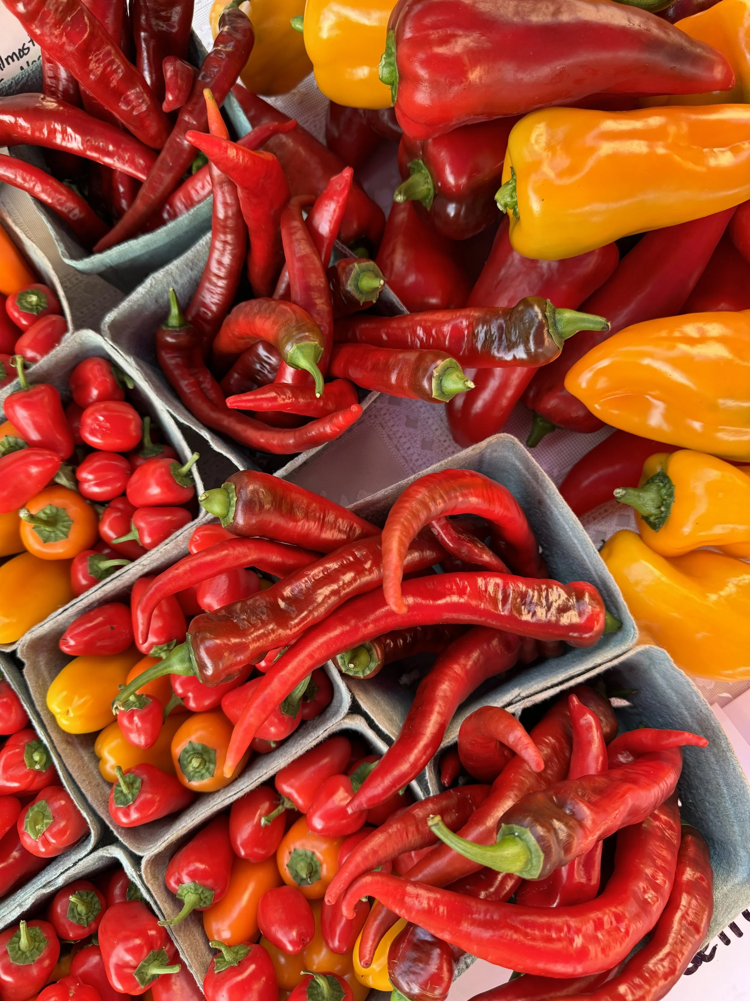 Saturday, September 13 // Eat Seasonally YEAR ROUND