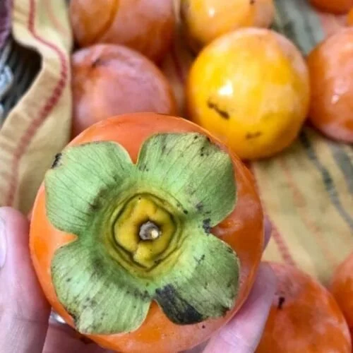 Saturday, September 20 // The BEST Local Groceries Worth Planning the Week Around