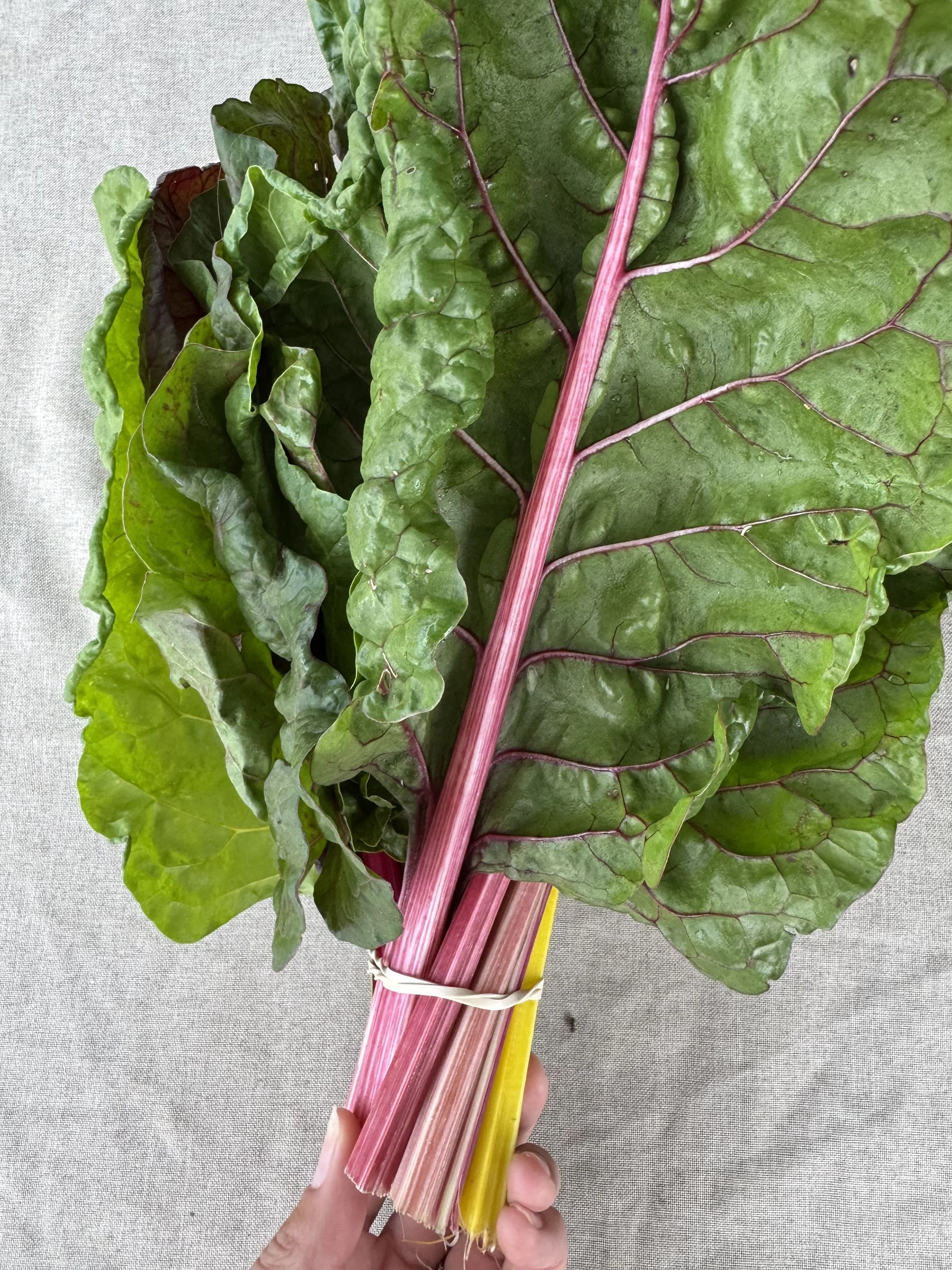 Saturday, October 4 // Cozy F A L L Mornings at Market