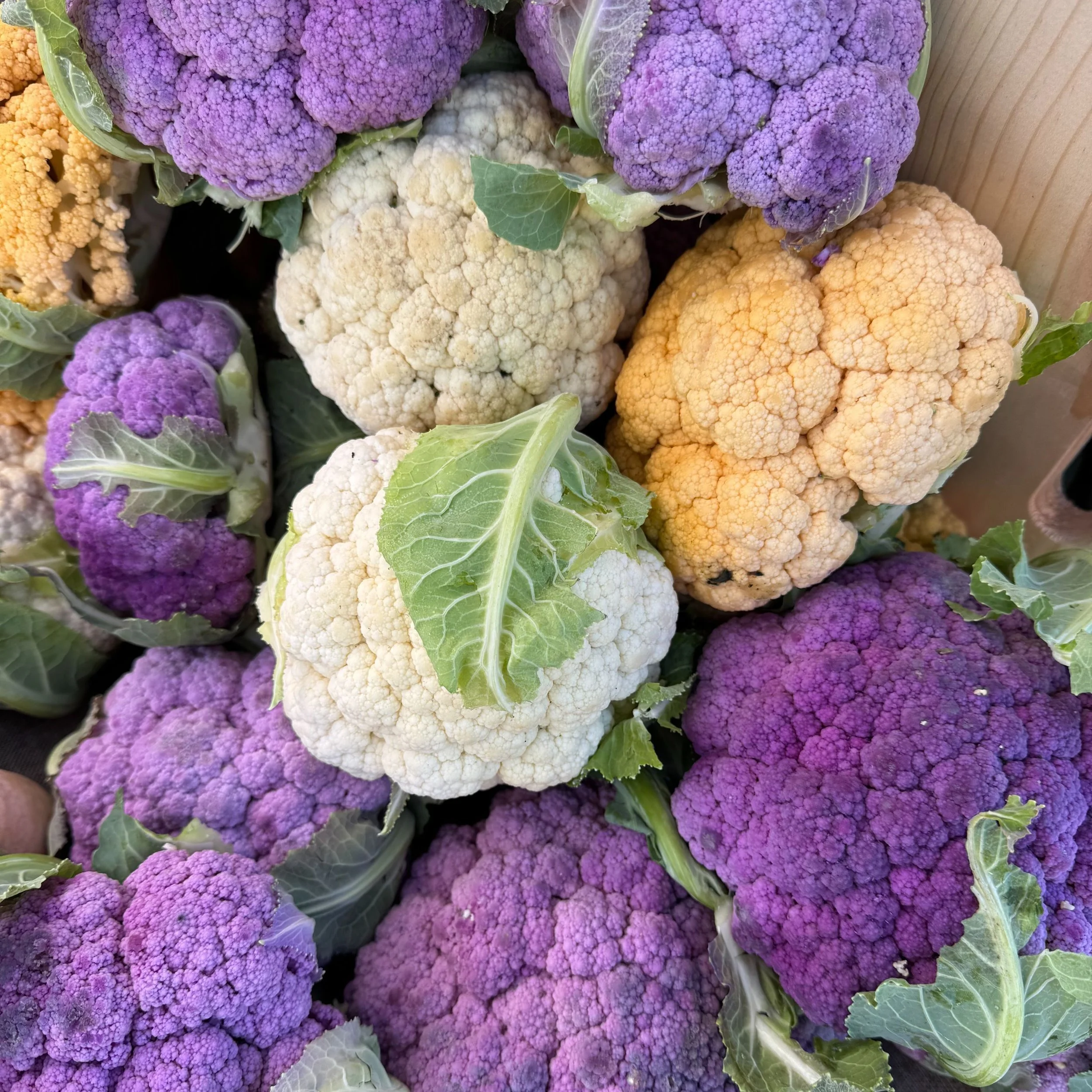 Saturday, October 25 // SO Important to Shop Local, Every Week