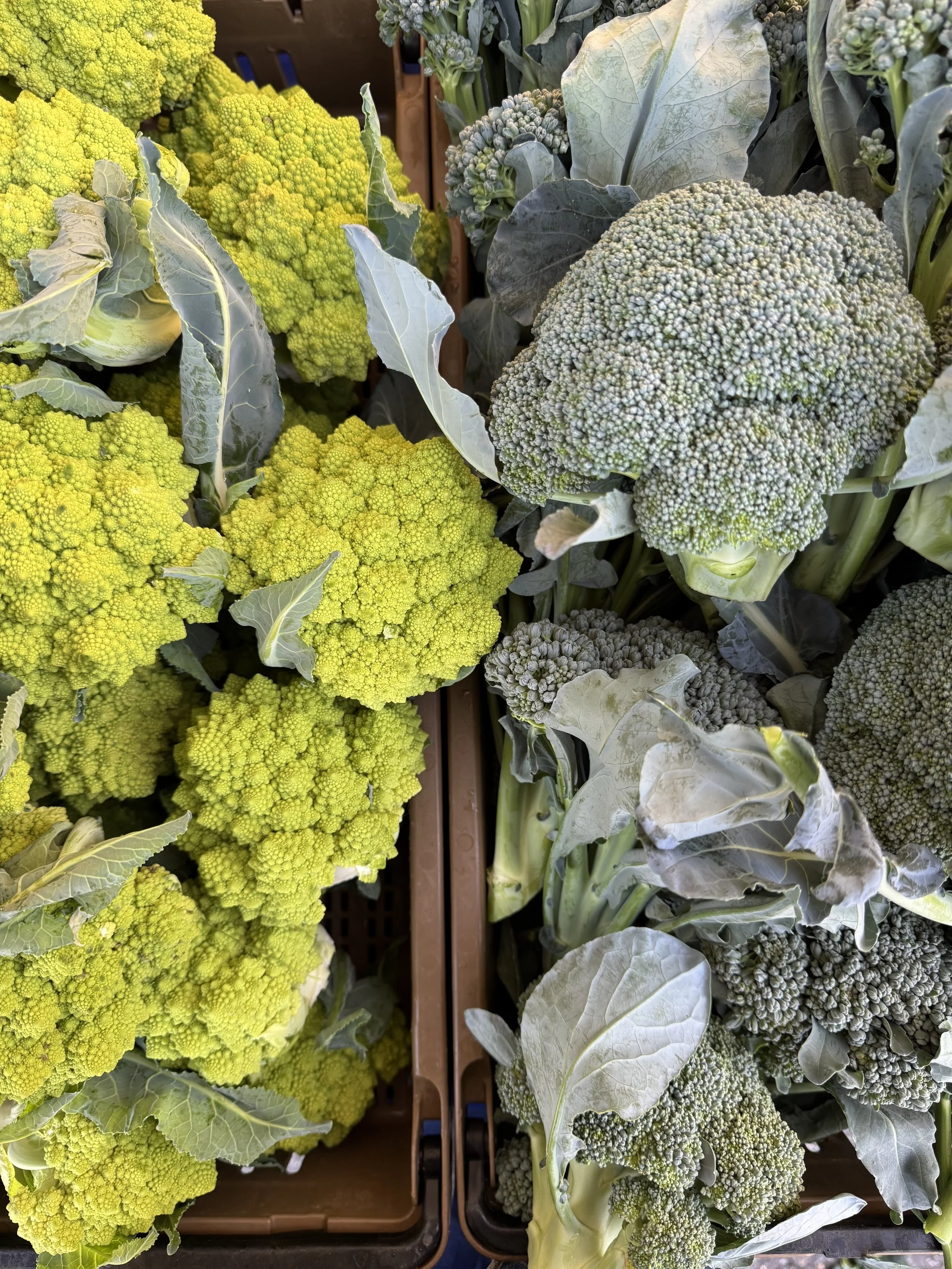 Saturday, December 6 // 3 More Markets in 2025!