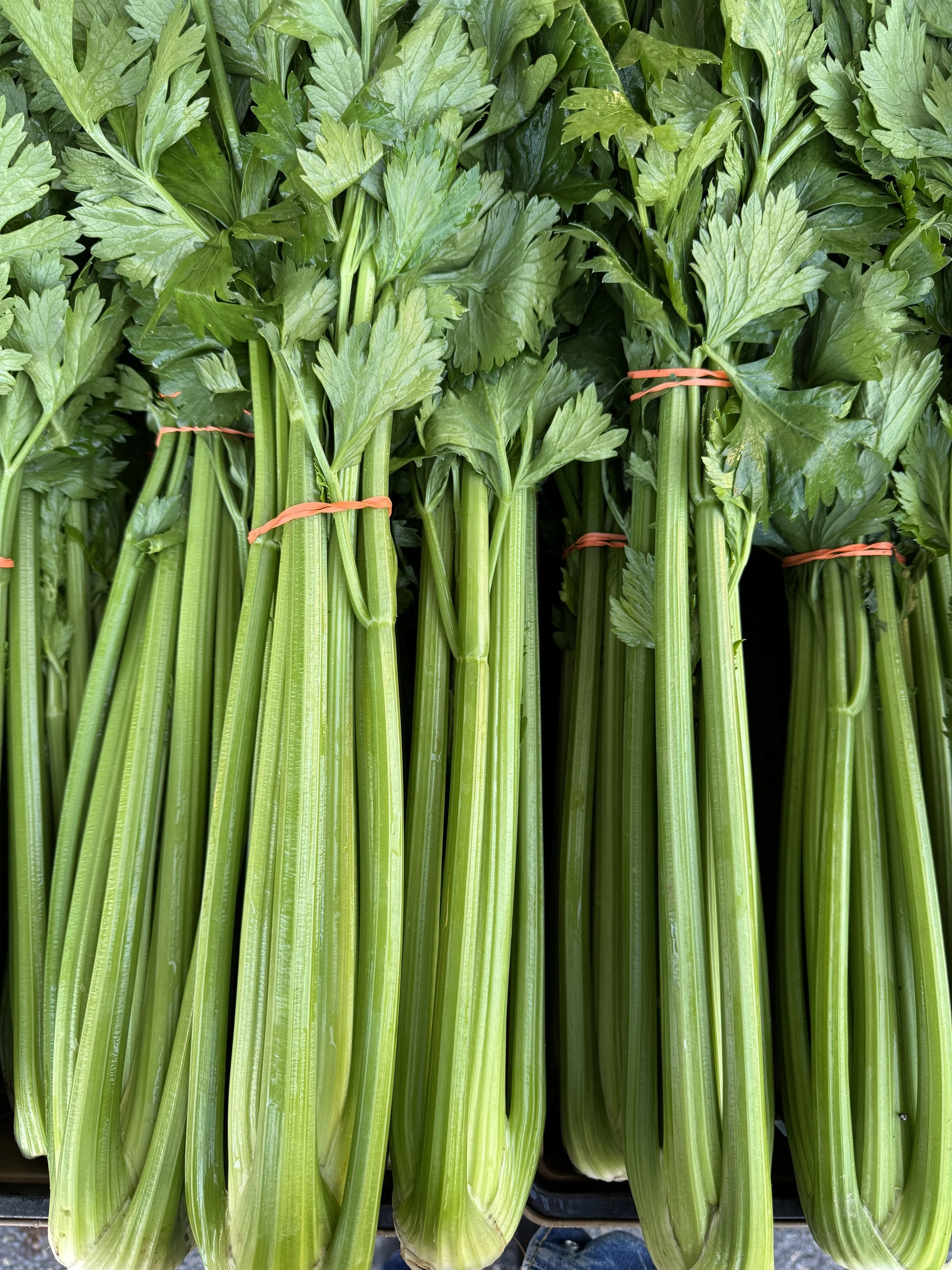 Saturday, December 20 // LAST 2025 Market!