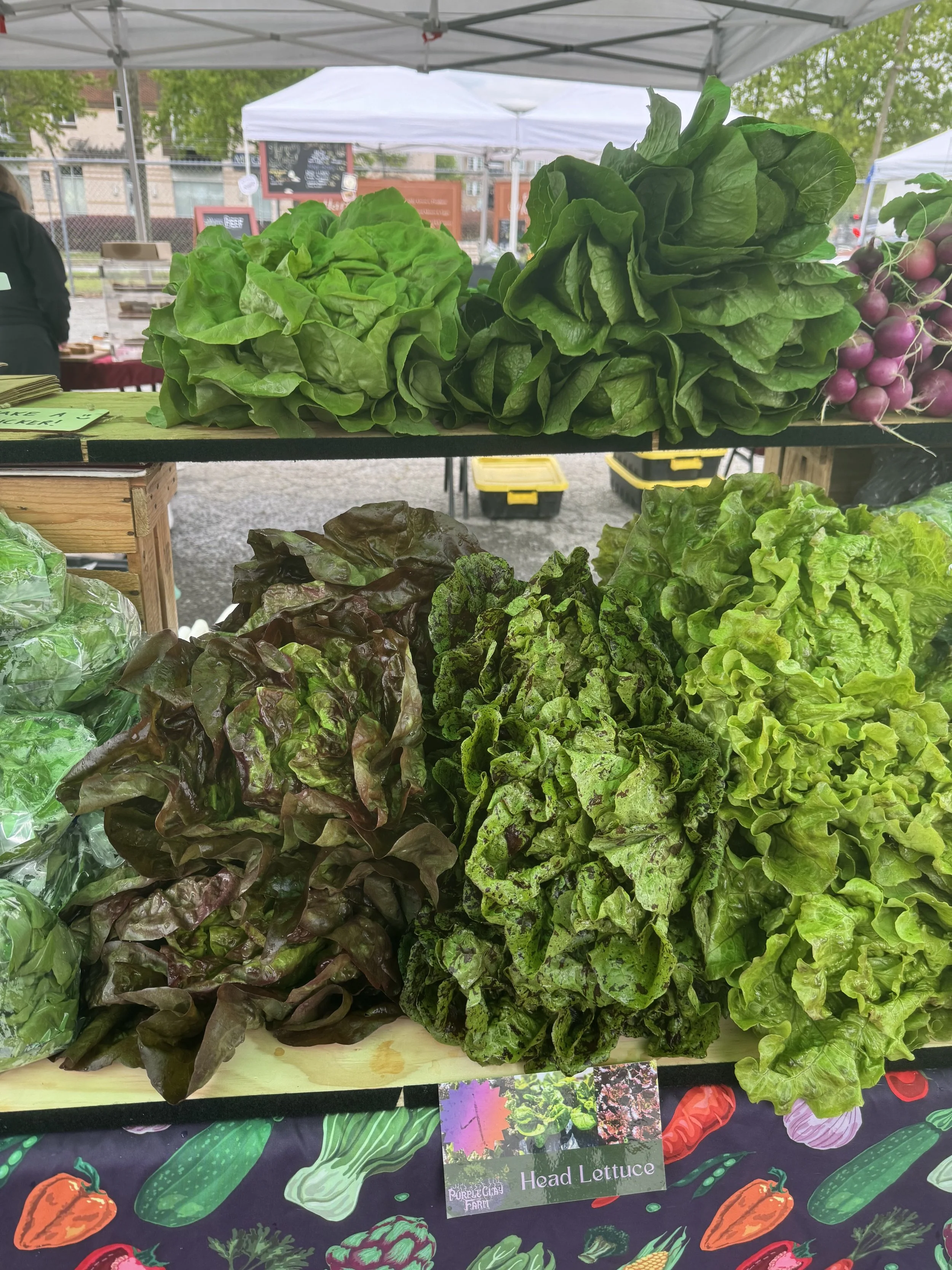 Saturday, January 17 // Pre-Order and Plan Ahead Through Winter