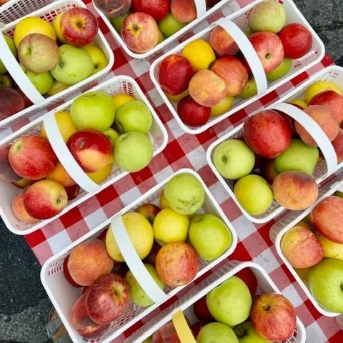 FRIDAY, January 30 // Snowy Forecast Means we PRE-ORDER