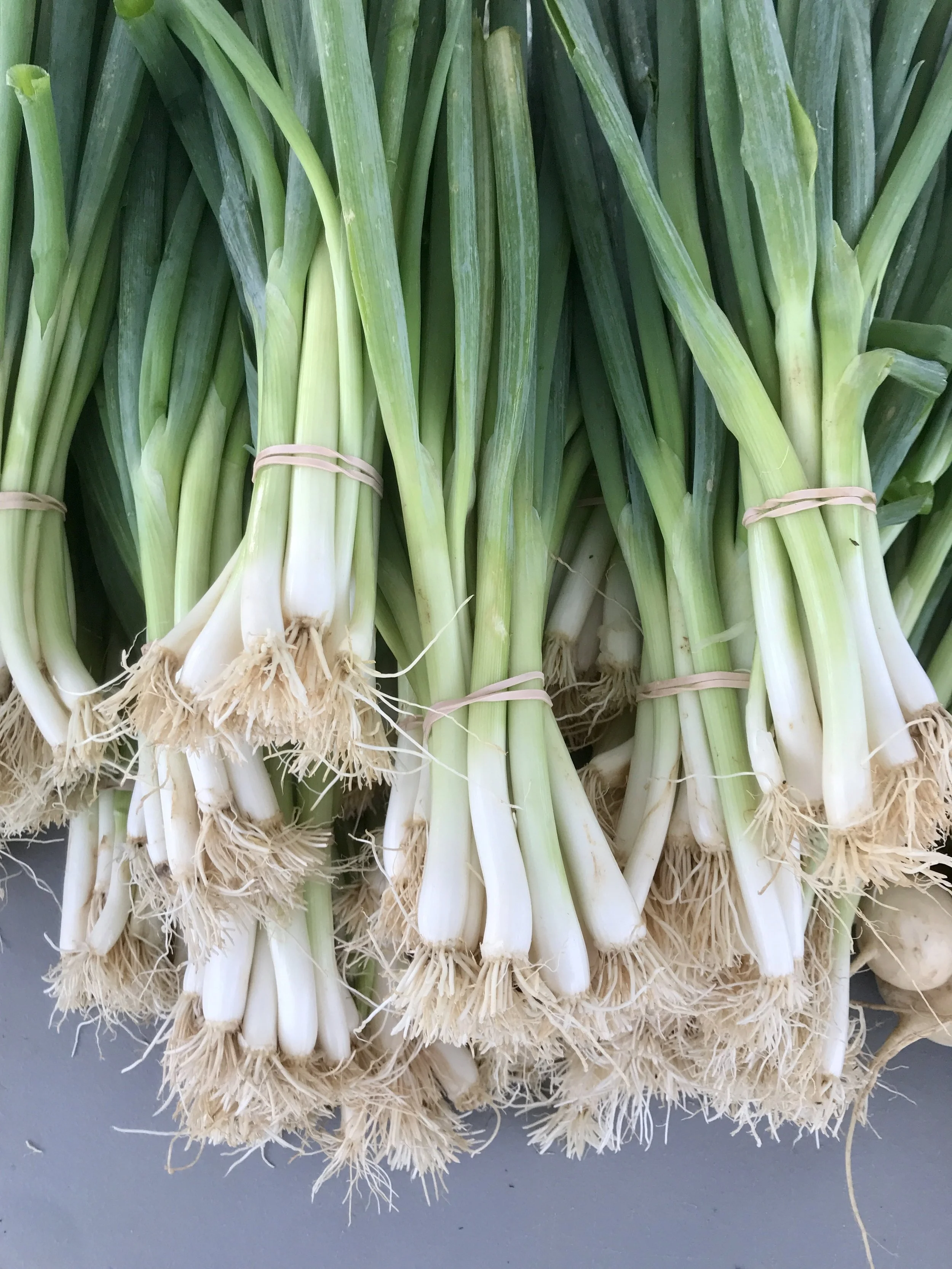 Saturday, February 7 // Your Small Businesses and Local Farms Need YOU to Shop