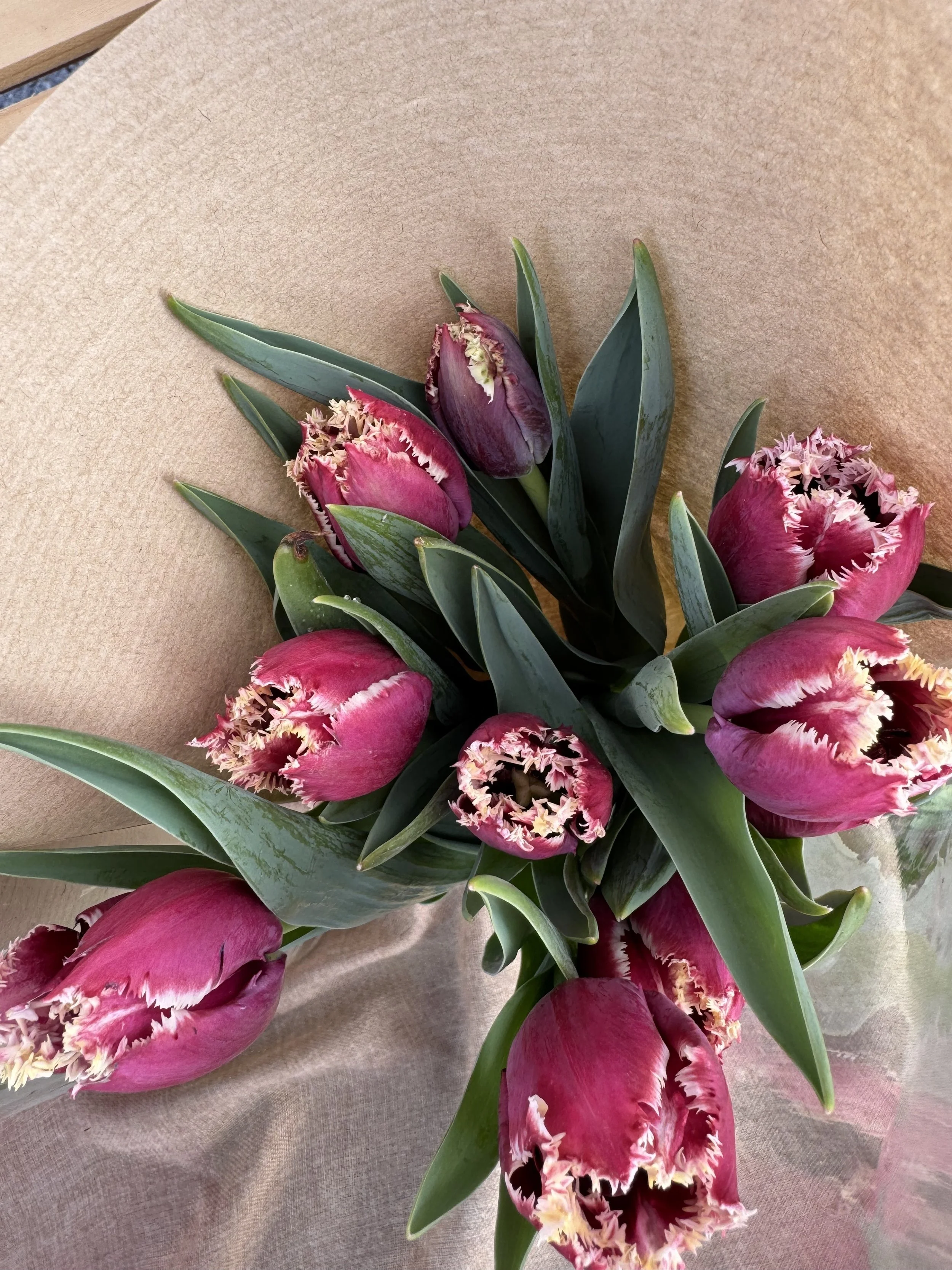 Saturday, February 14 // Share the LOVE When you Give and Buy LOCALLY