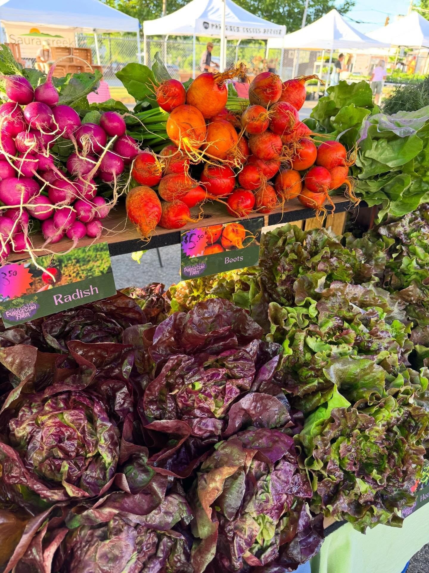 Saturday, April 18 // Go Green with ALL the Greens - LETTUCE and PLANTS !