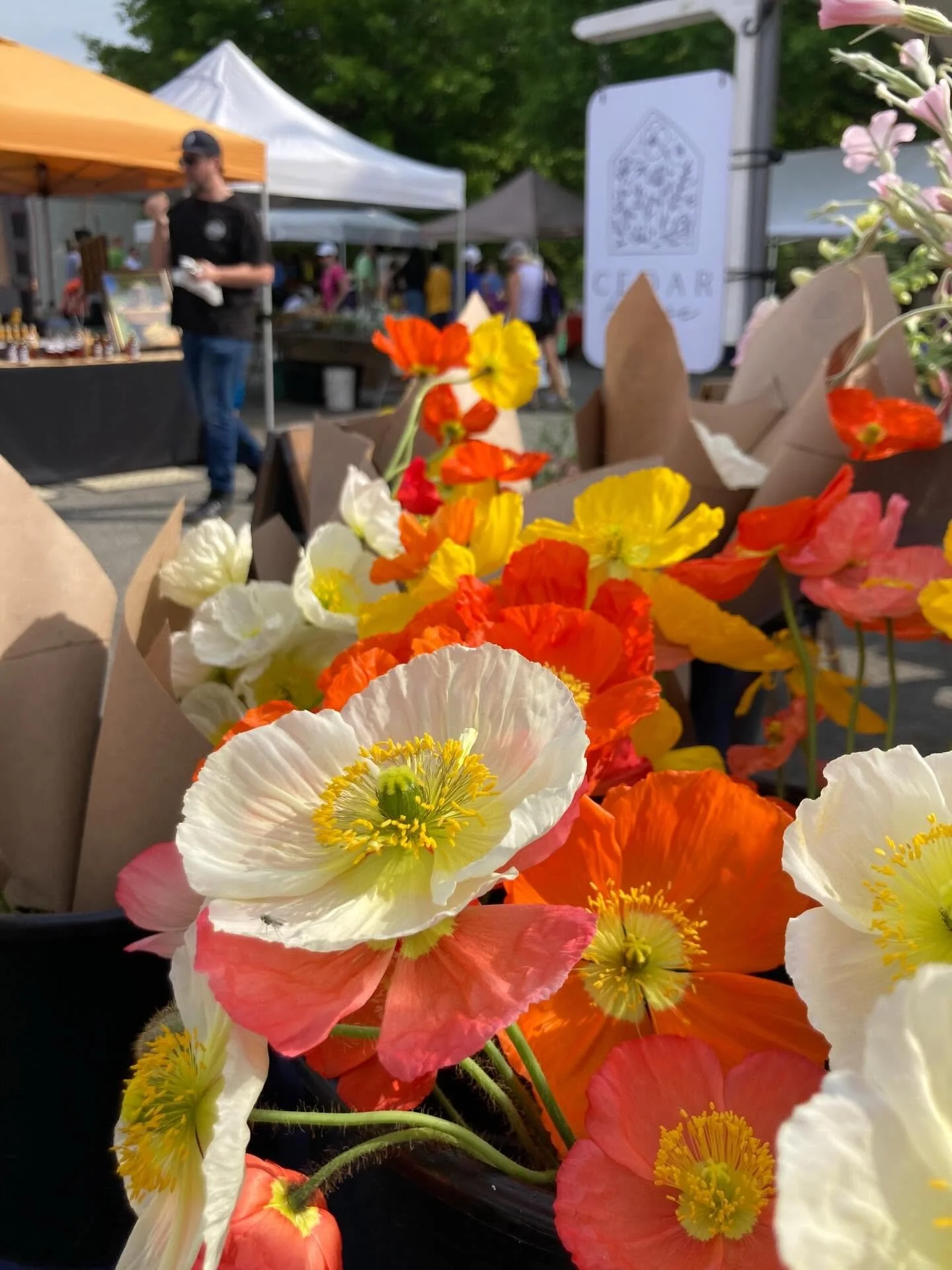 Saturday, May 9 // A FULL CFM Spread for a FULL Weekend