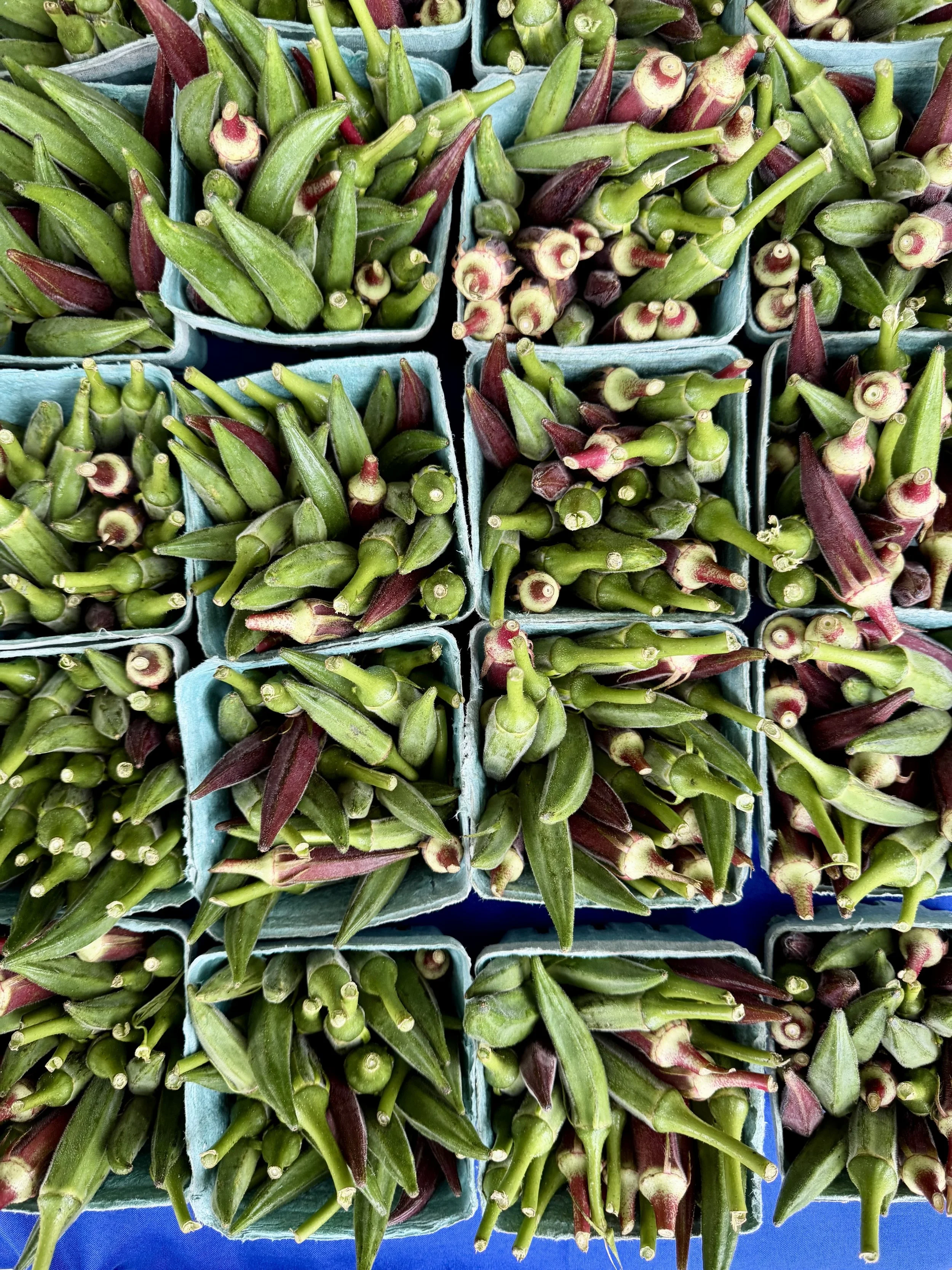 Saturday, July 25 // Summer Bounty