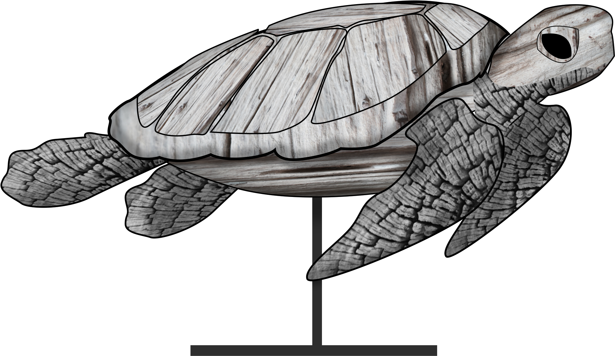Coastal Turtle.png