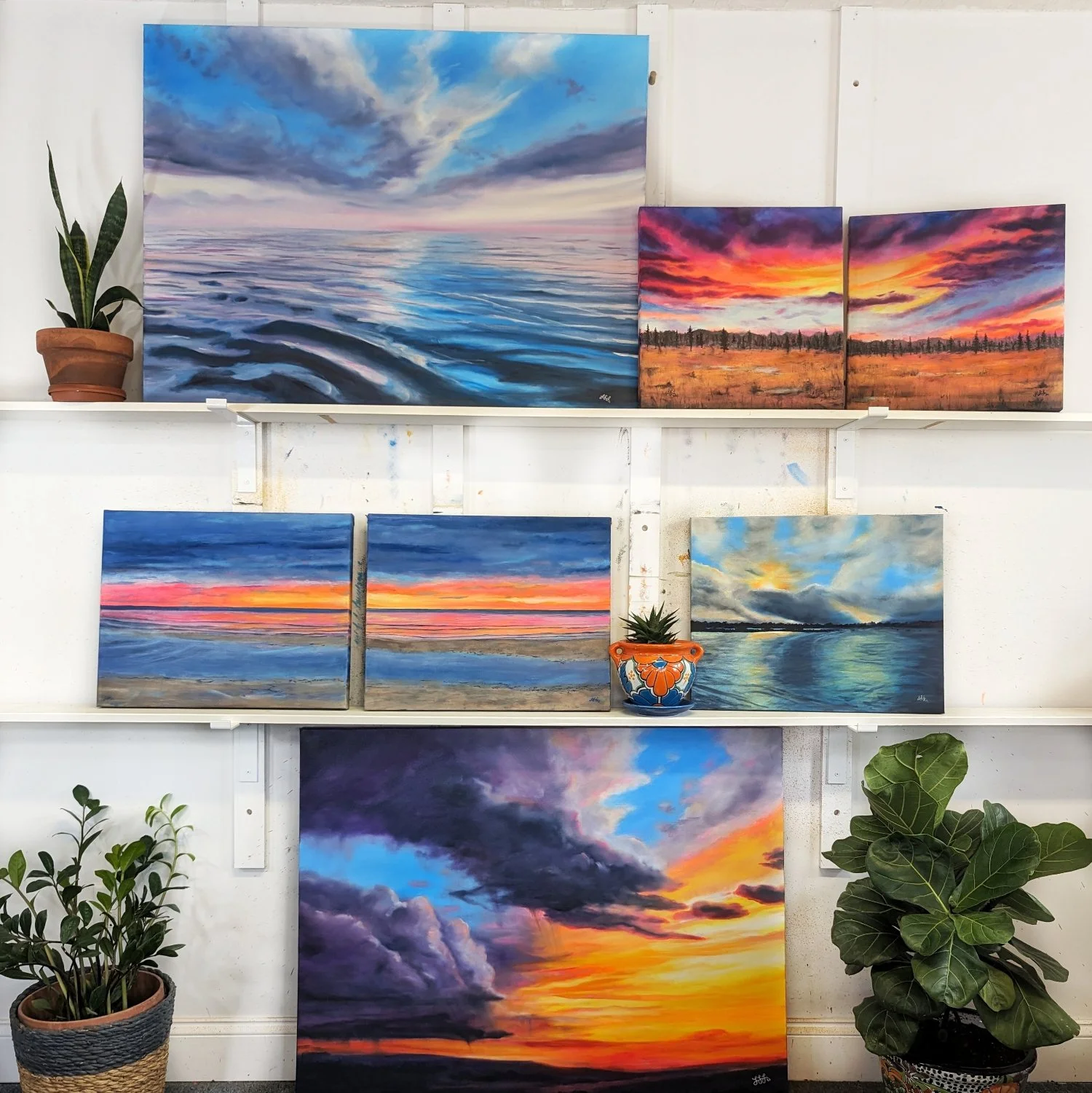 Collection of landscape paintings of sunsets and skies, arranged on white shelves with potted plants on either side.