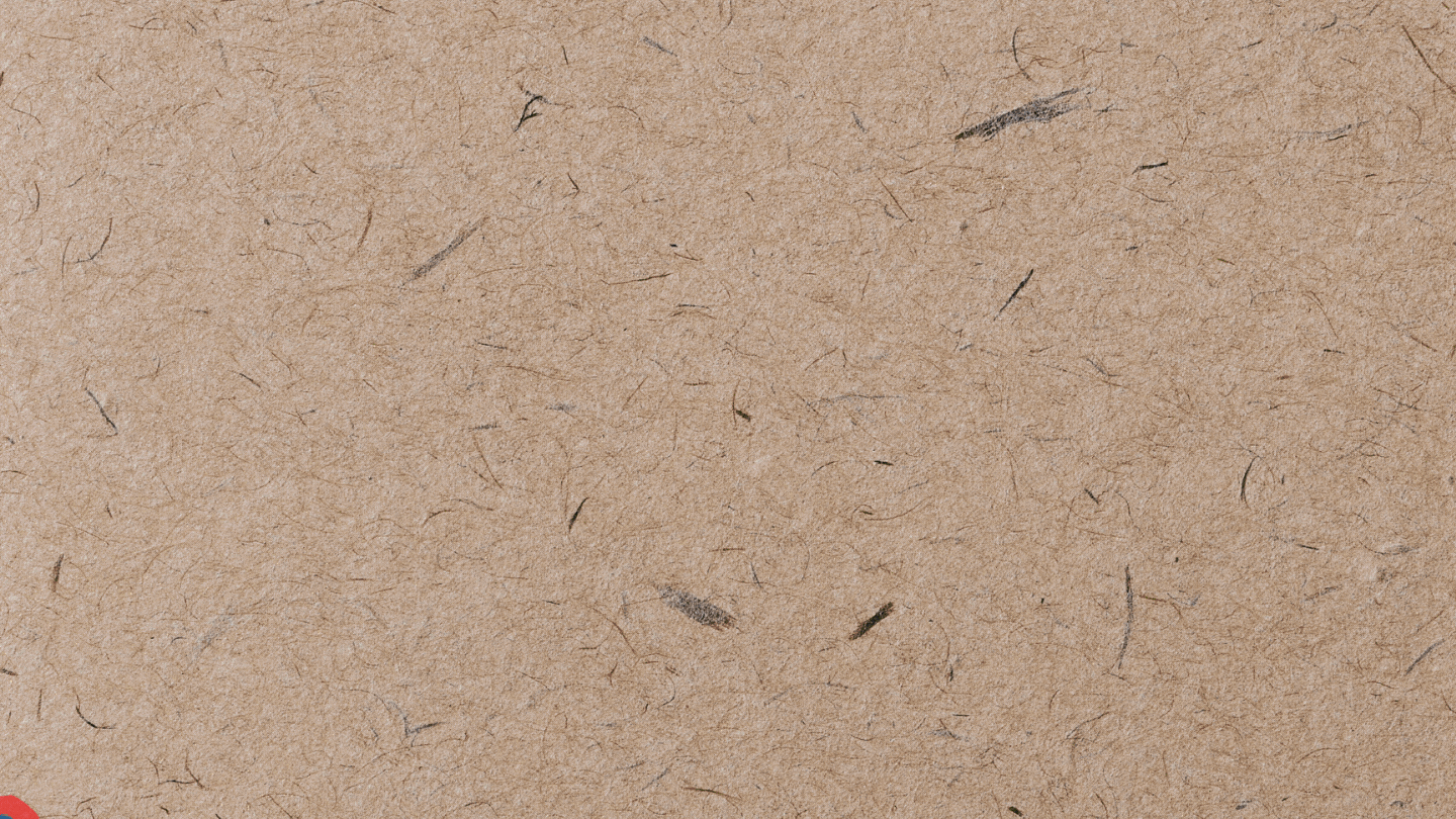 20 Ways for Students to Use Canva in the Classroom