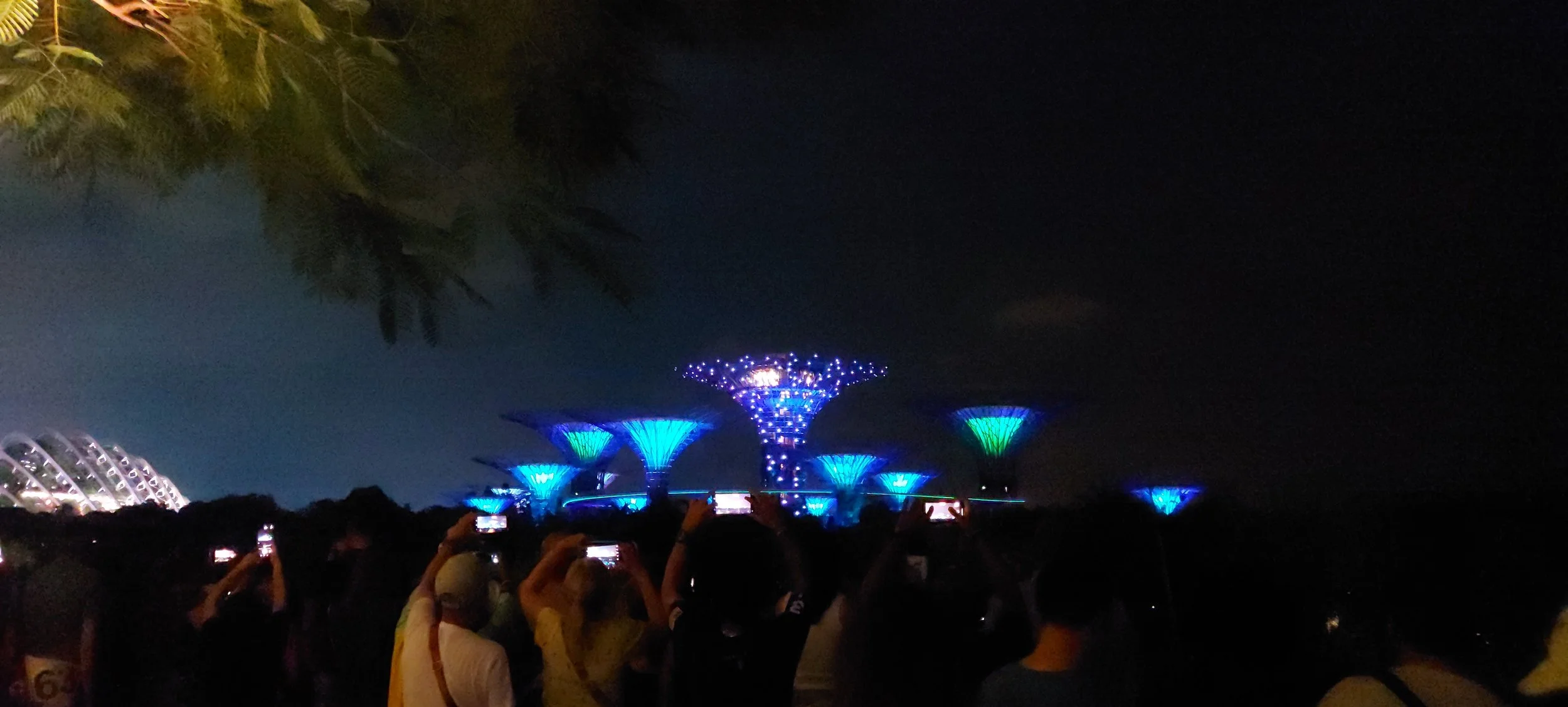 2024 ISMRM: sight-seeing at Gardens by the Bay