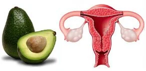 advocado-uterus.jpg