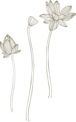 flowers.png