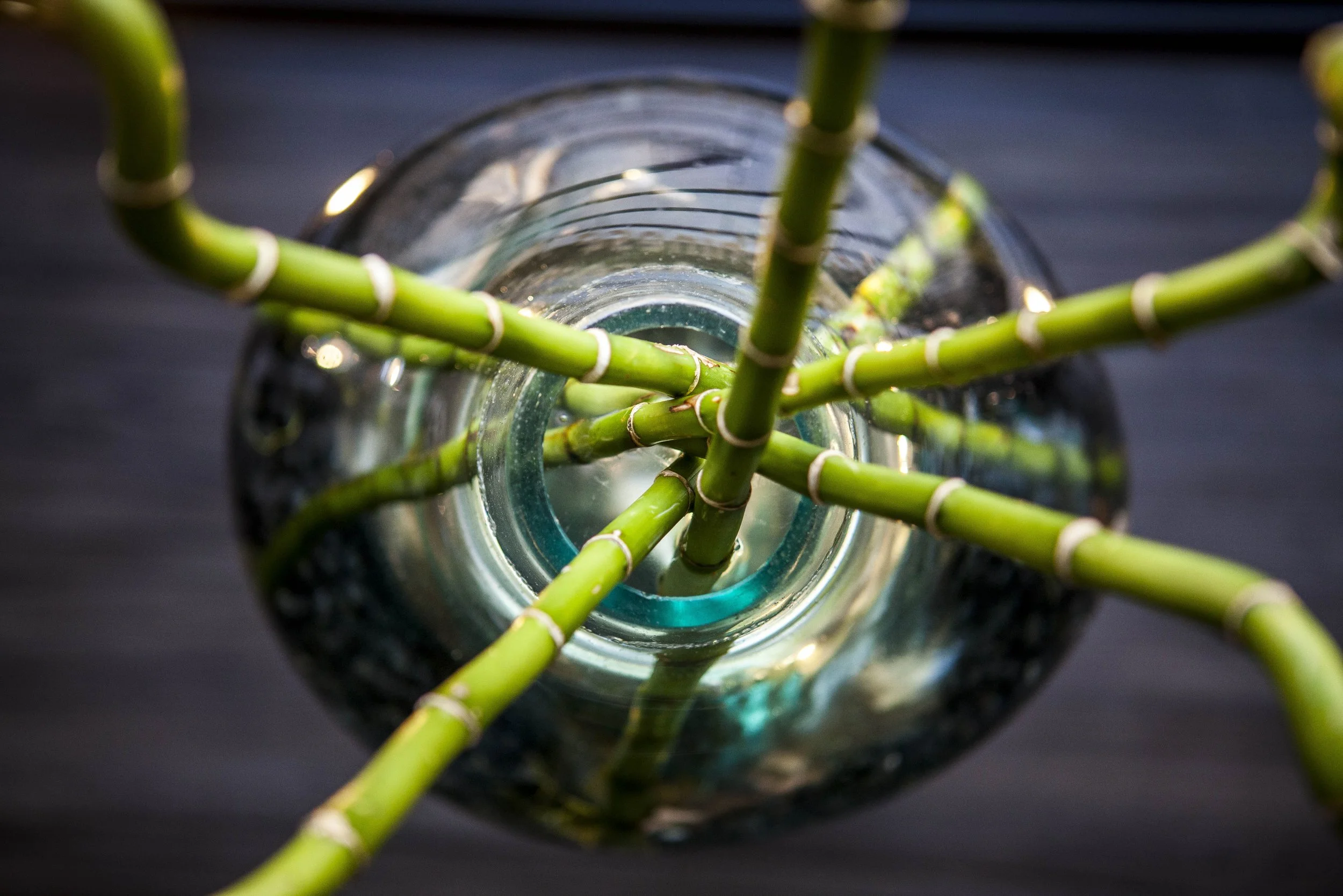 Boosting Mental Clarity and Focus with Traditional Chinese Medicine (TCM) Modalities