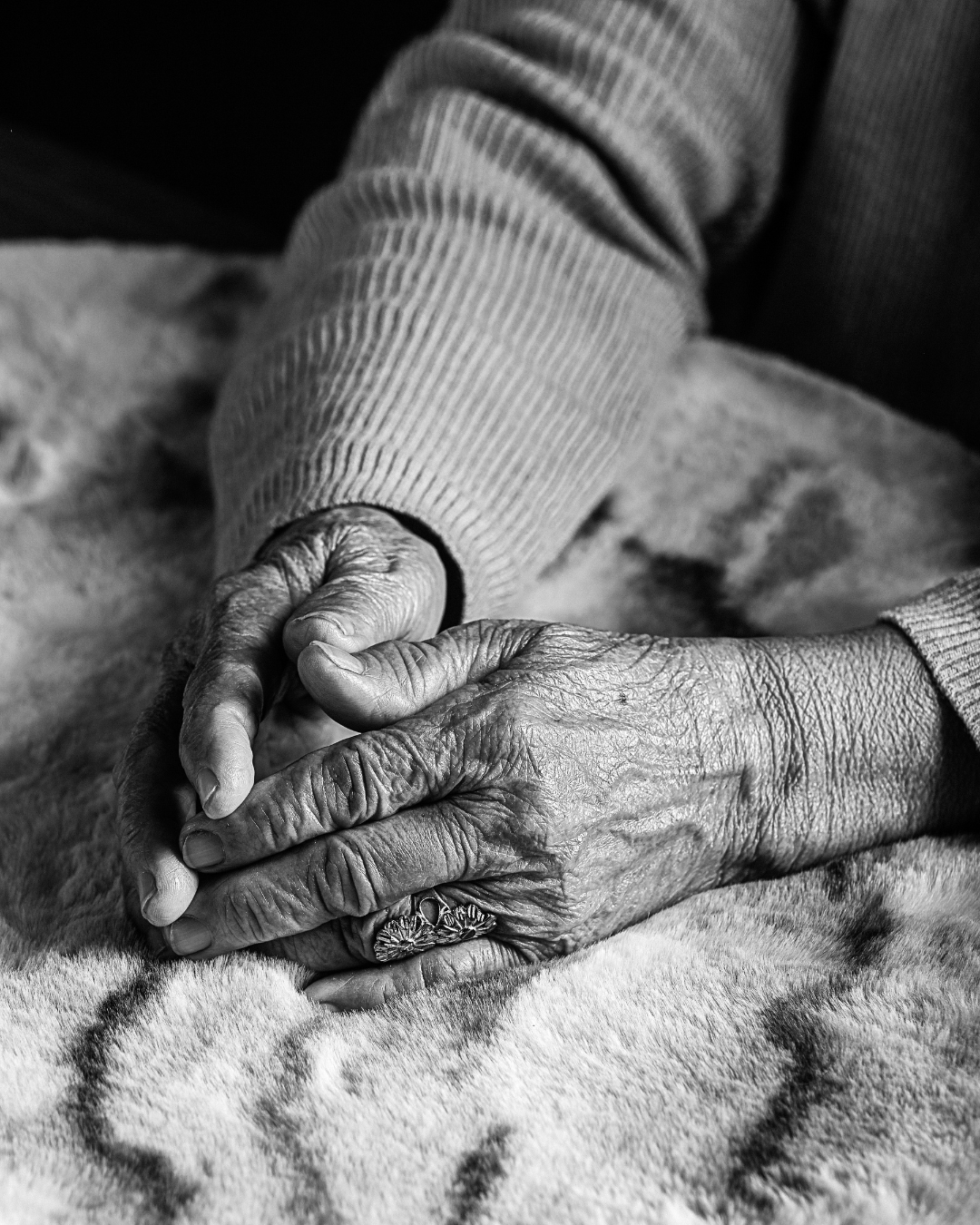 The Ancient Wisdom of Traditional Chinese Medicine for Anti-Aging: Techniques and Practices