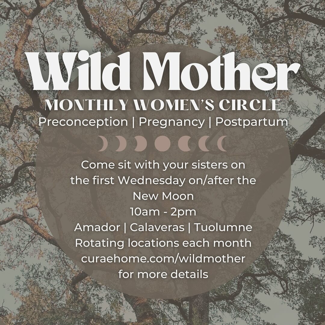Save this post for a quick reference for 2024 Wild Mother dates 📆 
.
I&rsquo;m excited to announce that Wild Mother will be traveling to different locations throughout Amador, Calaveras and Tuolumne counties over the next year ✨
.
The location calen