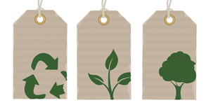 SMSustainable-Design-Classes-FIT.jpg