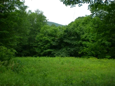 grahamparcels_photo.jpg