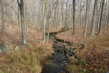 podlaseck_photo.jpg