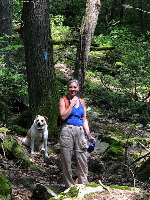 Hiking partners, Ct Trails Day 2019-Mattatuck Trail.jpg