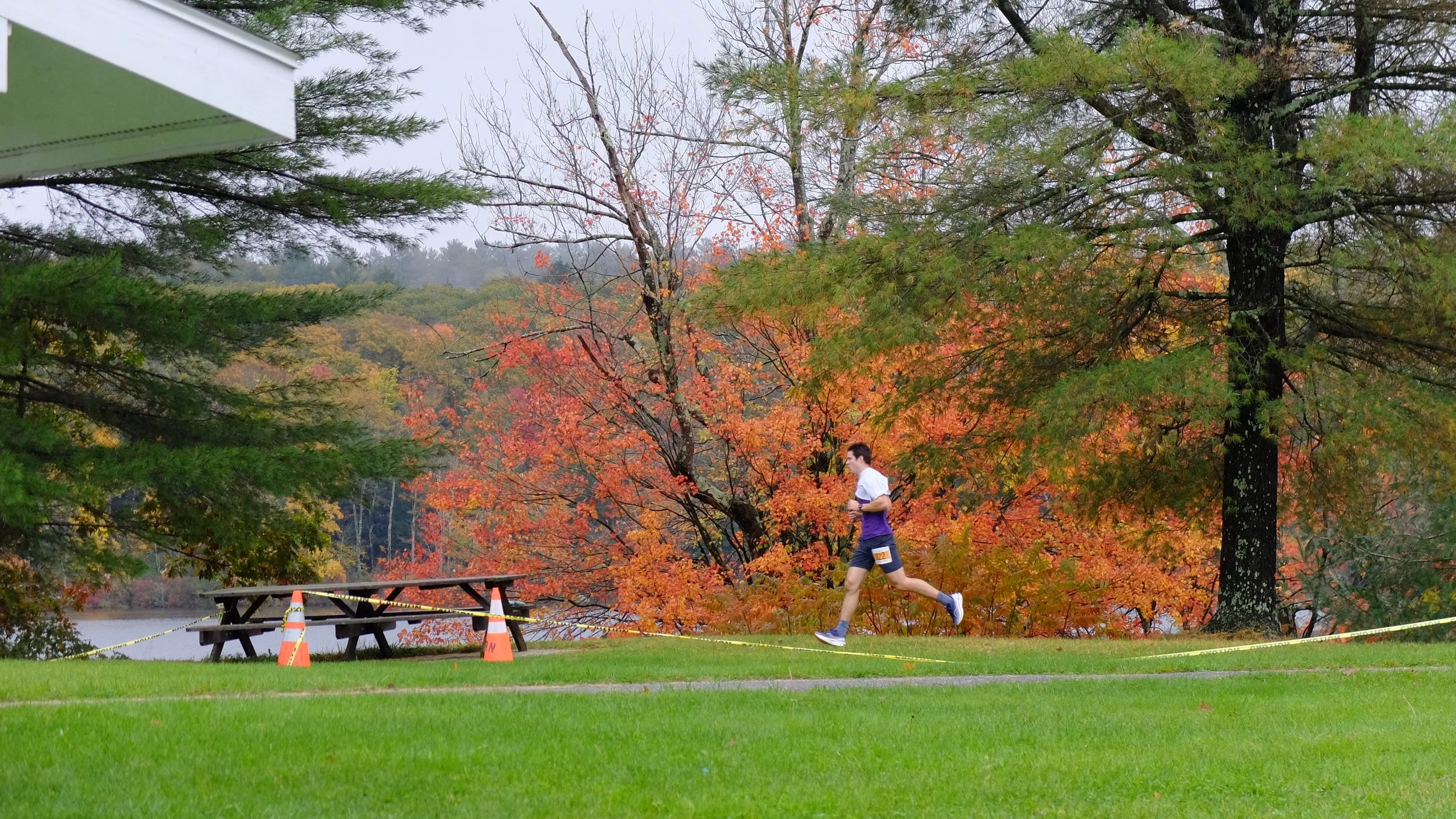 Cider Run 5K  2024