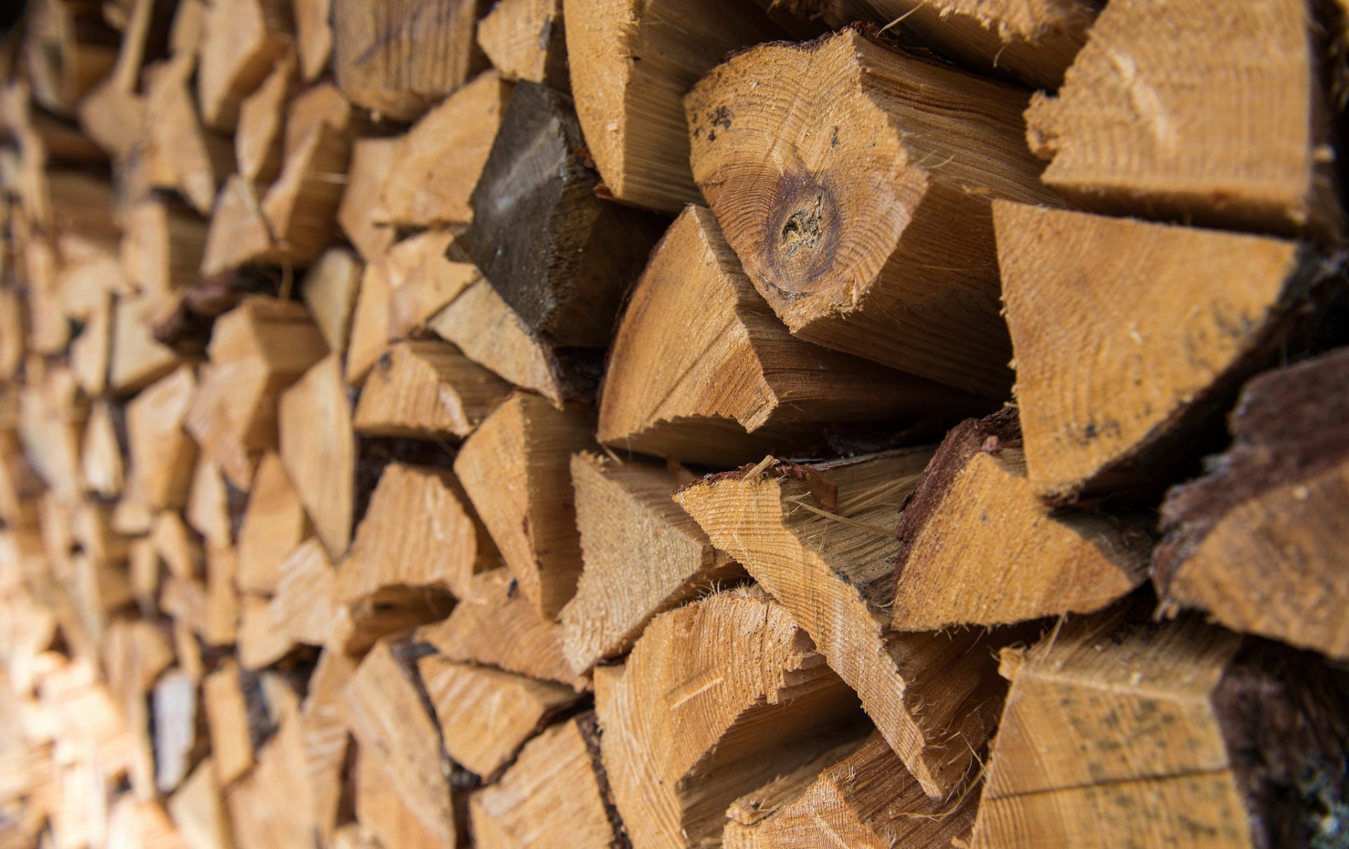 Firewood Mosaic Forest Management