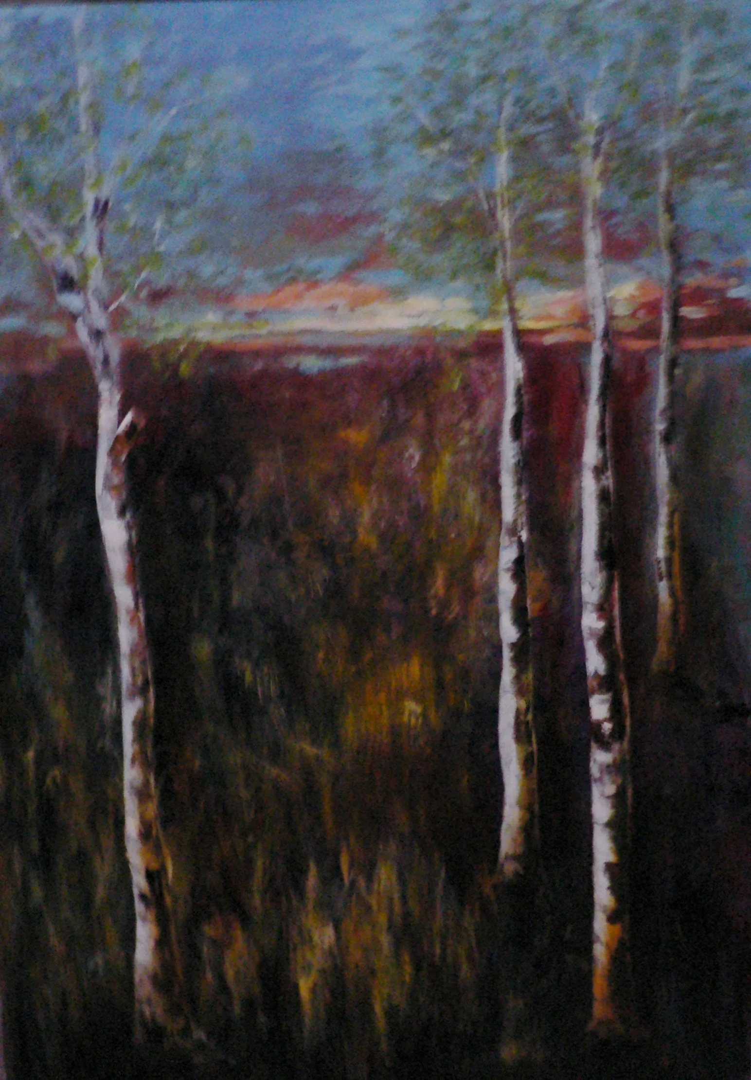 Birch in the Meadow