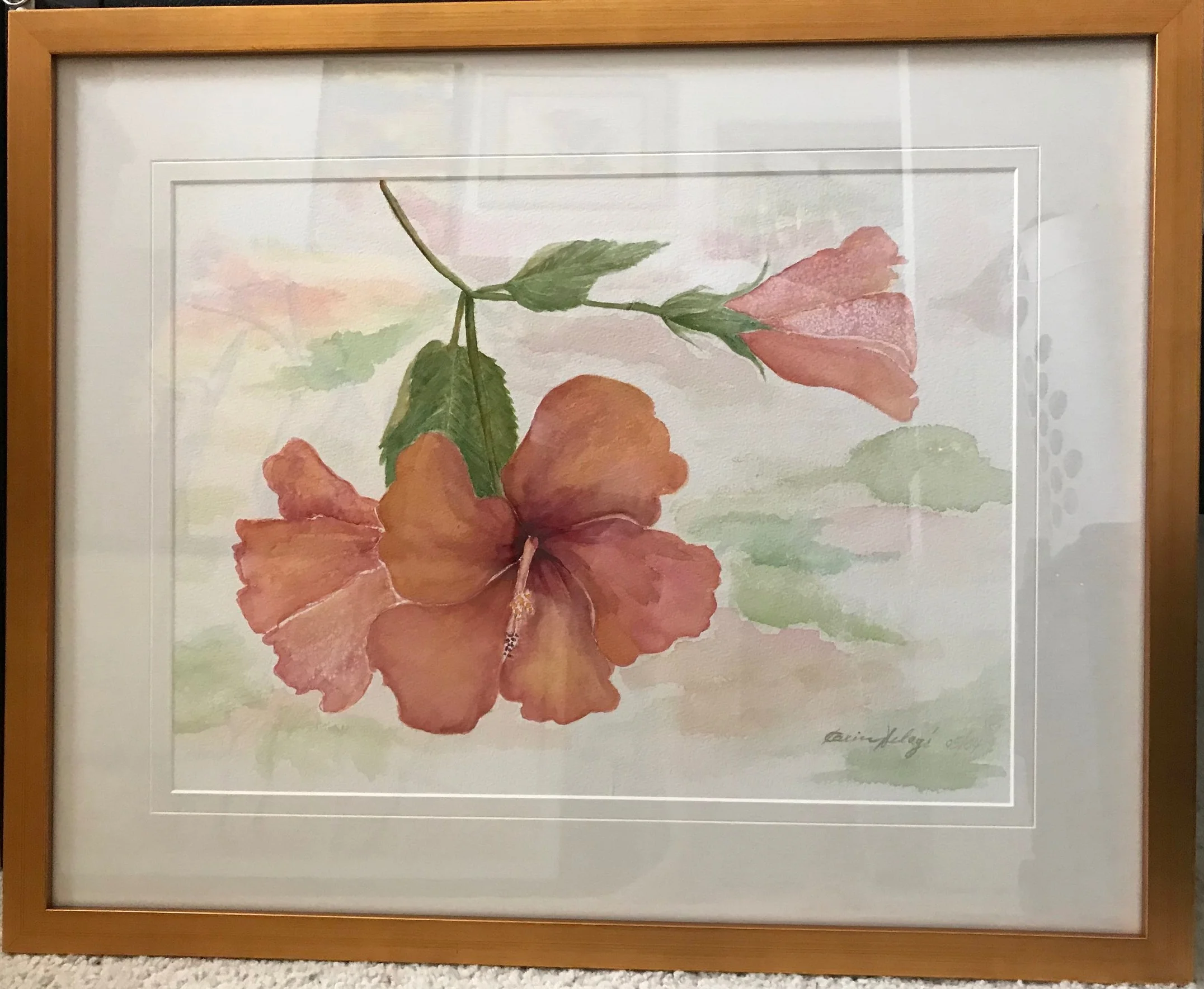 Hibiscus (Rose Mallow)