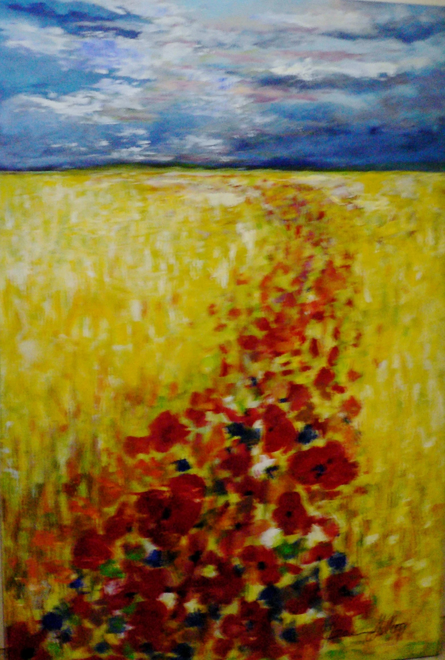 Poppies in golden Field