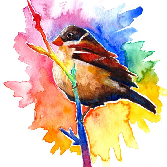 Sparrow with Rainbow Sky_websize.jpg