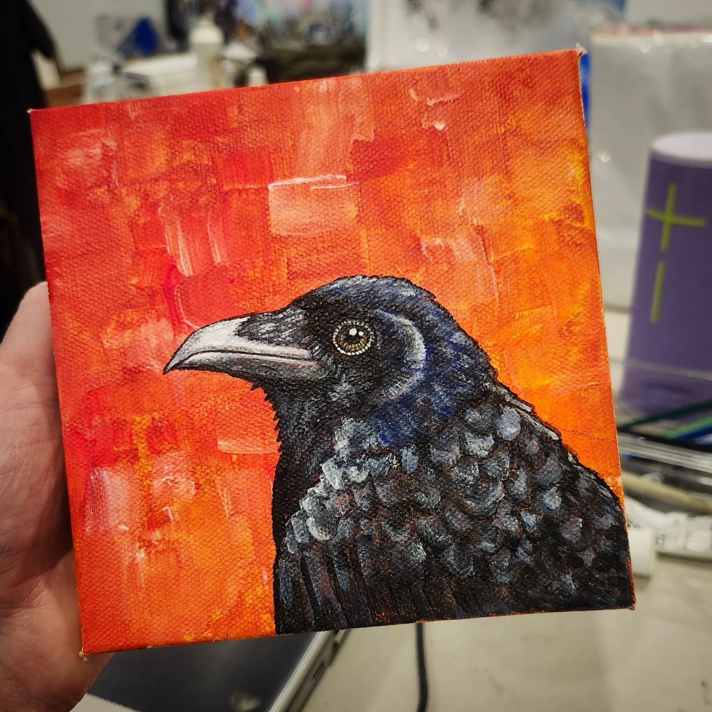At a recent show someone was asking if I paint crows so I said I would give it a try. Here's a regal portrait of an American Crow I'm working on today.