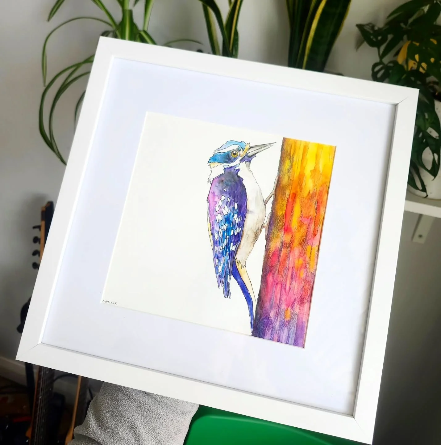 Framing new work! This one was inspired by a persistent (and fearless) Woodpecker I saw in Nova Scotia this summer. β€οΈ With slight colour modifications of course. ππ
.
.
.
Fearless Woodpecker
Ink, watercolour paint and coloured pencils on watercolo