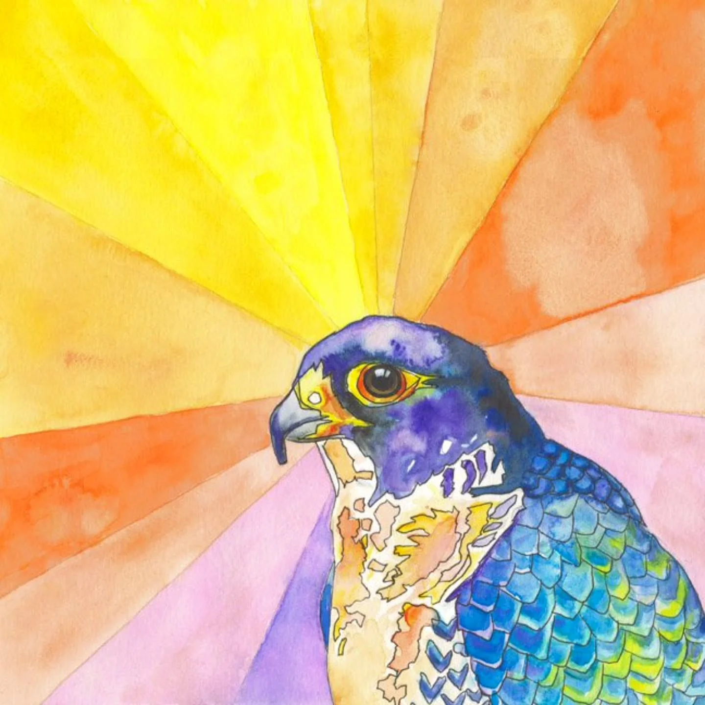 What a wonderful weekend it was at the Danforth East Arts Fair! Many pieces found new homes including this one. π And it didn't even rain! π
.
.
Peregrine Falcon I
Watercolour and ink on watercolour paper
8" x 8" Framed to 12.5" x 12