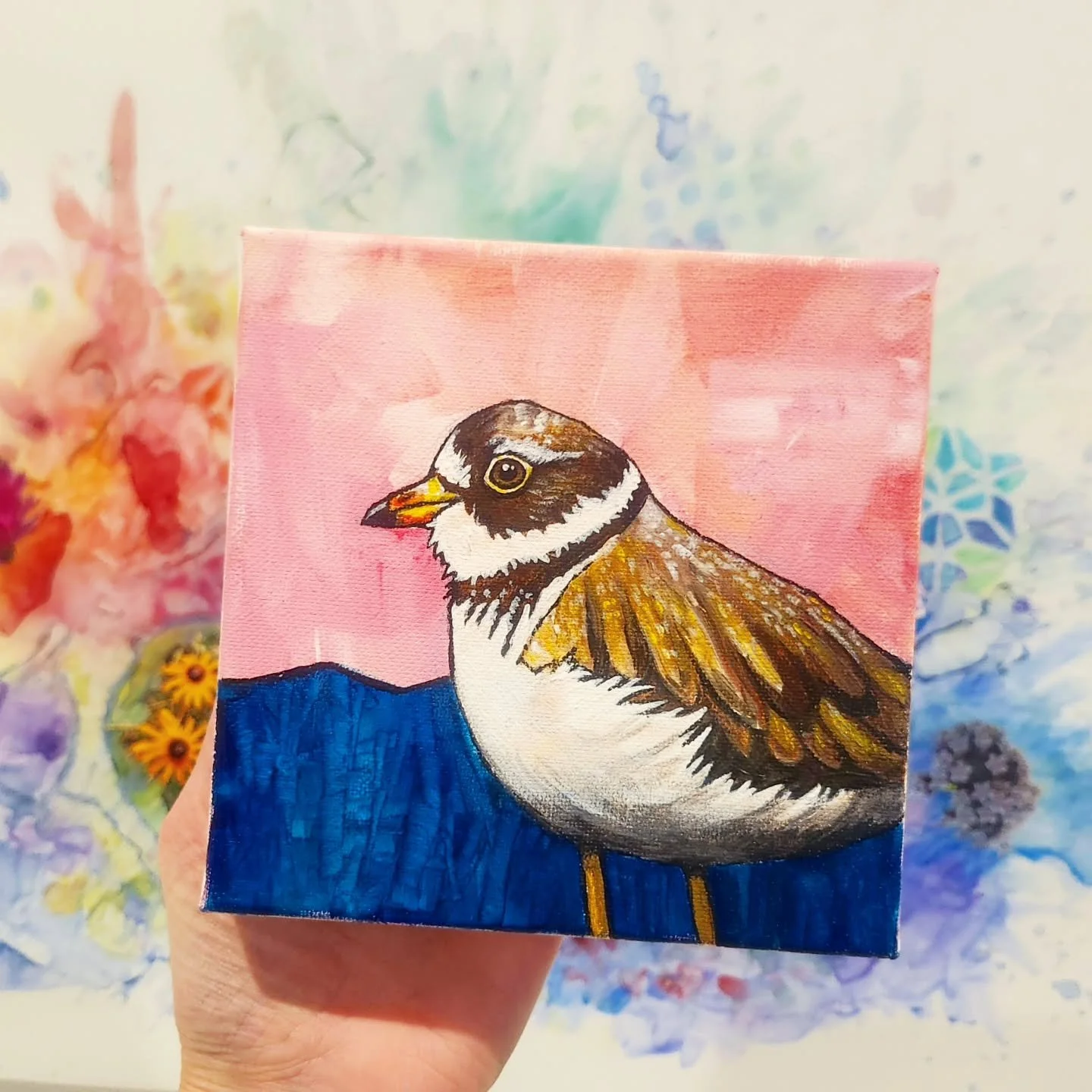 A Plover! I've painted Killdeers but this is my first Plover. Their colouring is very similar. This one was fun to work on. ❤️🪶
.
Acrylic on gallery canvas
6" x 6"
