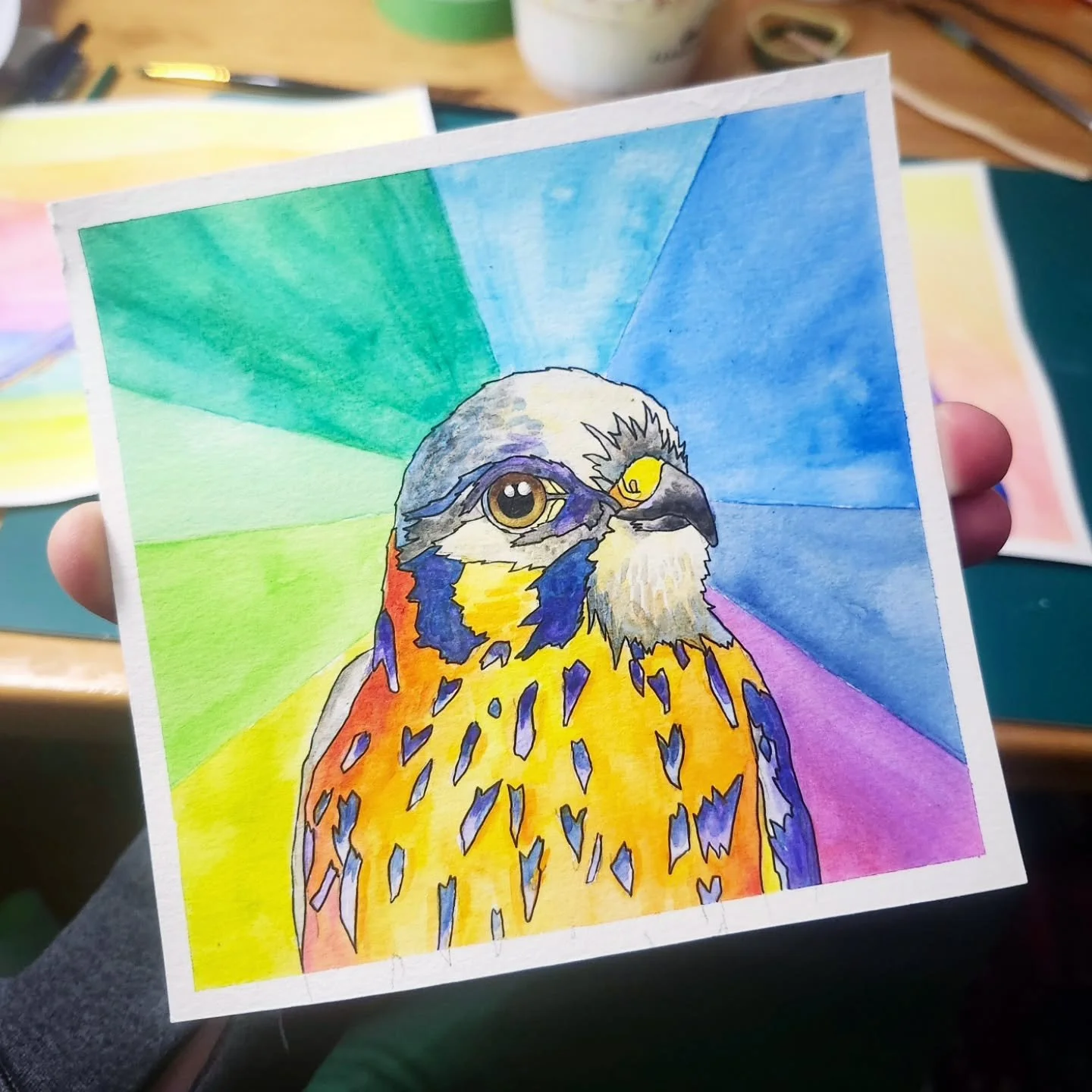 Kestrel!
.
.
Watercolour and ink on watercolour paper
6" x 6"