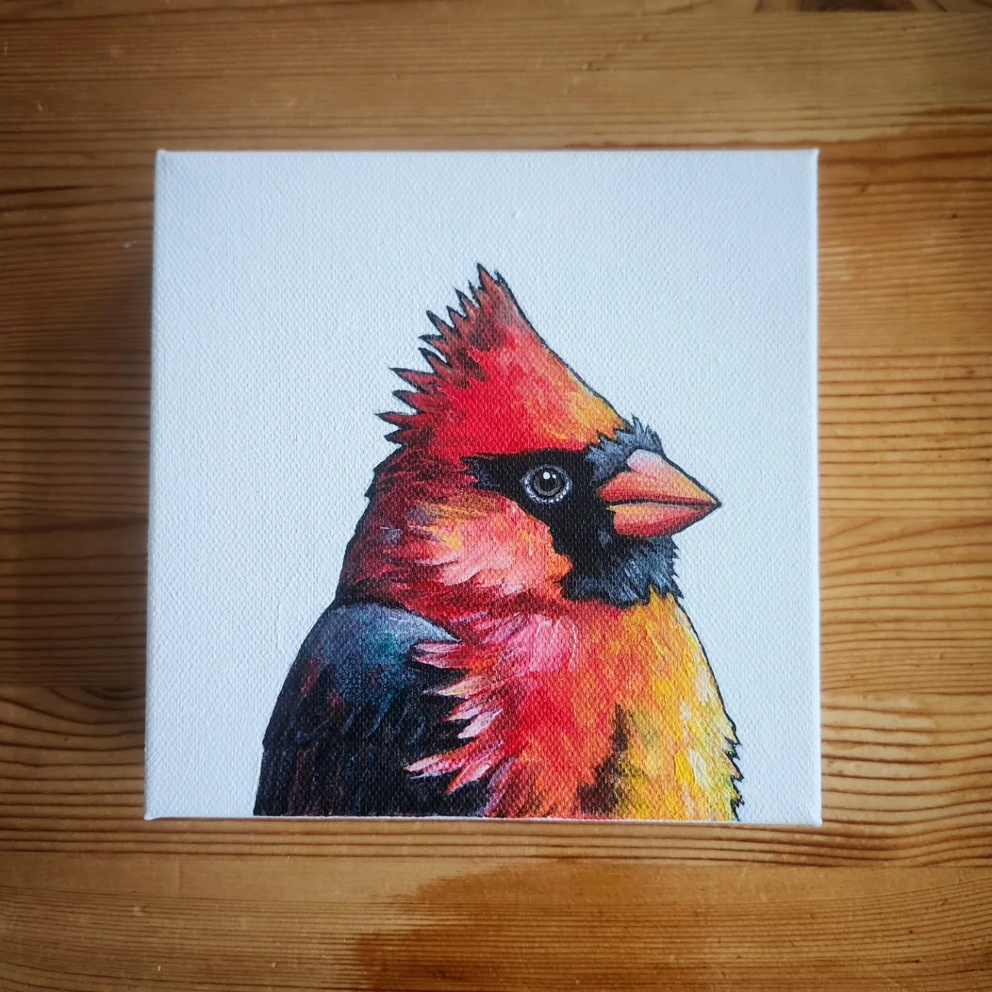 A small cardinal I just finished!
.
Acrylic on gallery canvas
6" x 6"