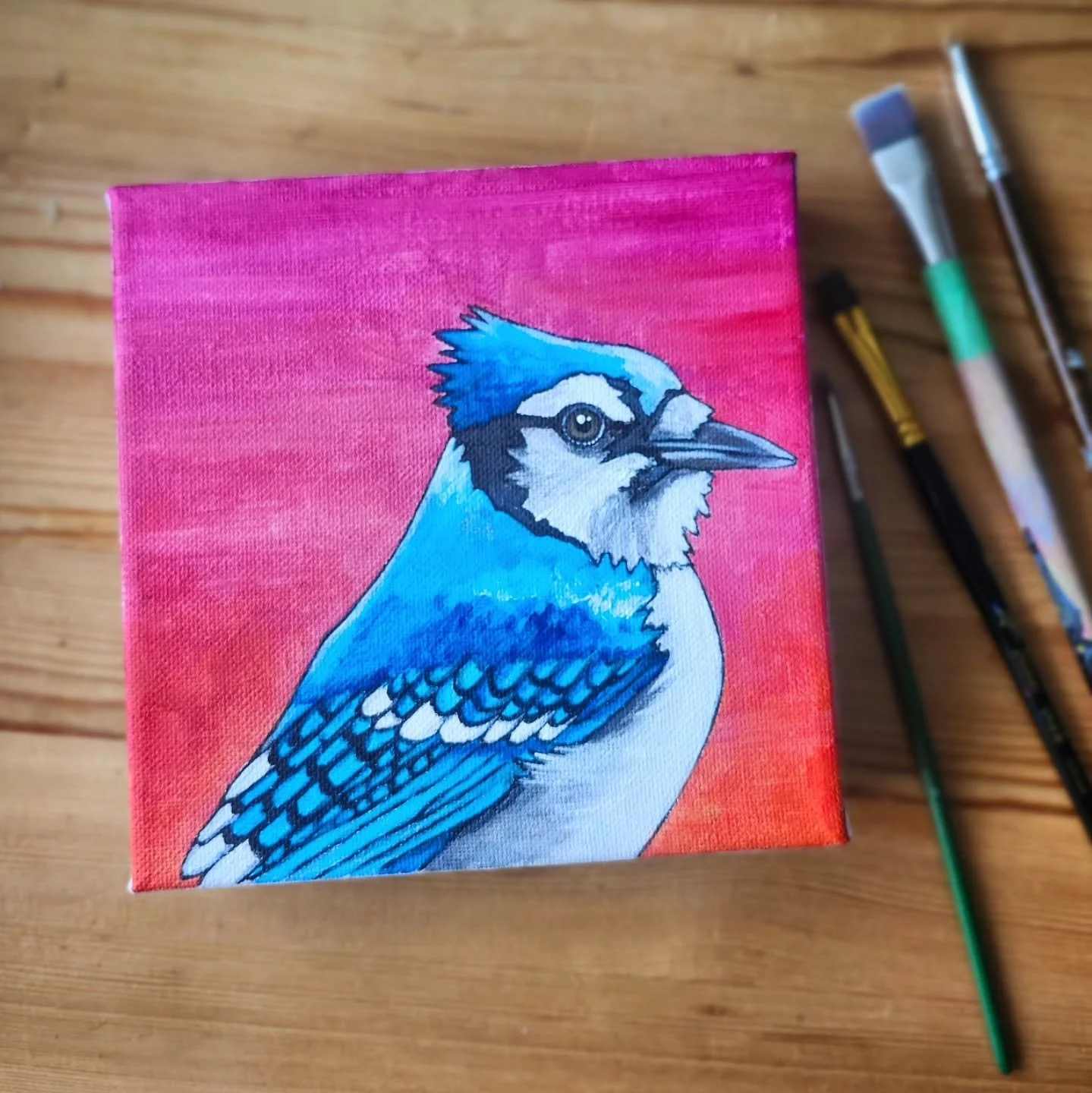 Finished a small blue jay painting today. I felt like he needed a vibrant background inspired by that amazing sunset we had last night. With a double rainbow!!🌈🌈🌅
.
.
Acrylic on gallery canvas
6" x 6"