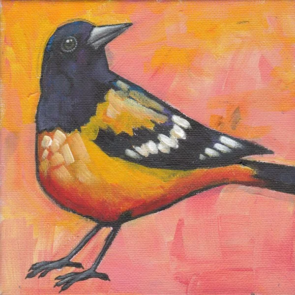 Oriole (Sunrise)