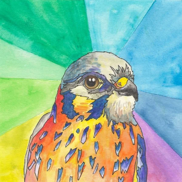 Kestrel