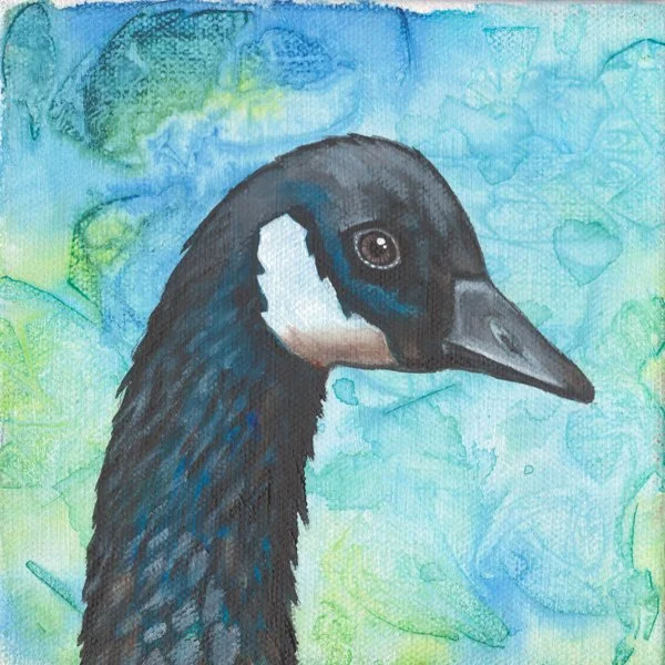 Canada Goose