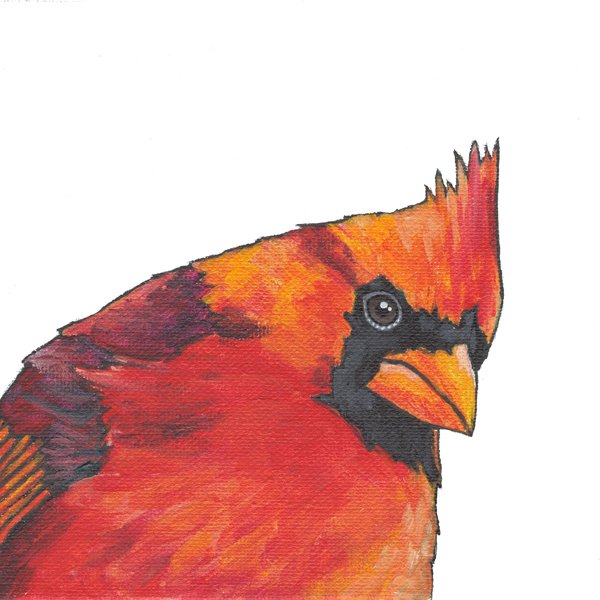 Cardinal (looking down)
