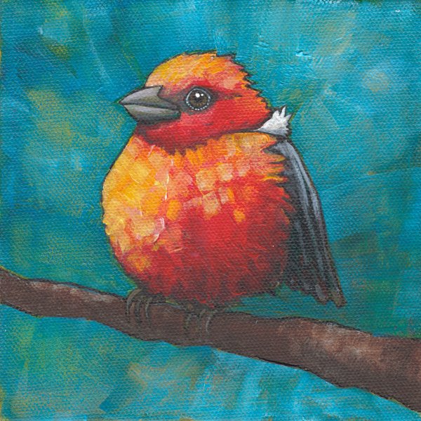 Scarlet Tanager