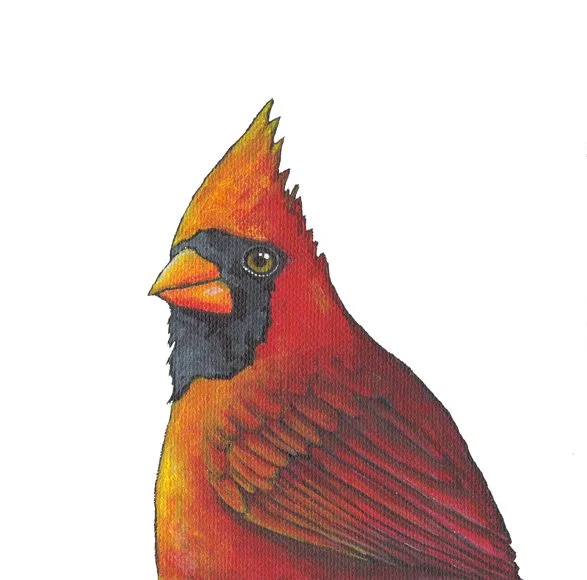Cardinal Portrait (side)