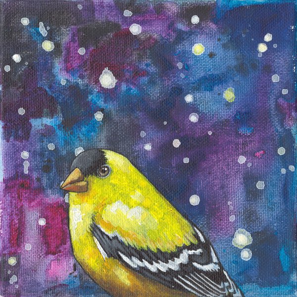 Cosmic Finch