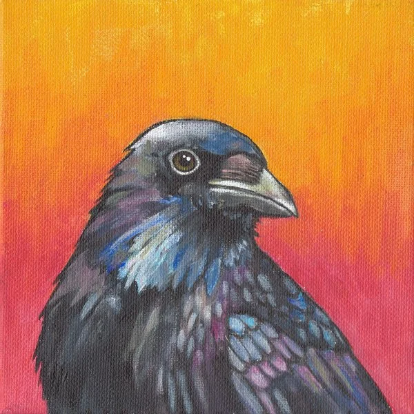 Crow (sunrise)